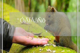 尧都尧都讨债公司服务